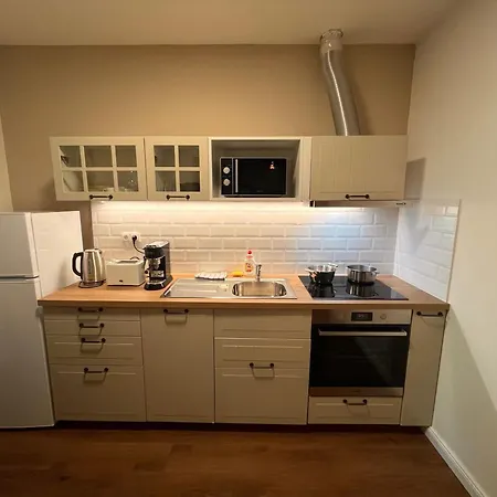 Apartment Amazing Zborovska *